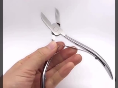 قطع الأسنان الخنزير الصغير