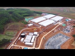 PVC لوحة سياج تسمين قفص الحضانة خنزير صغير مع الانتهاء من المغذية